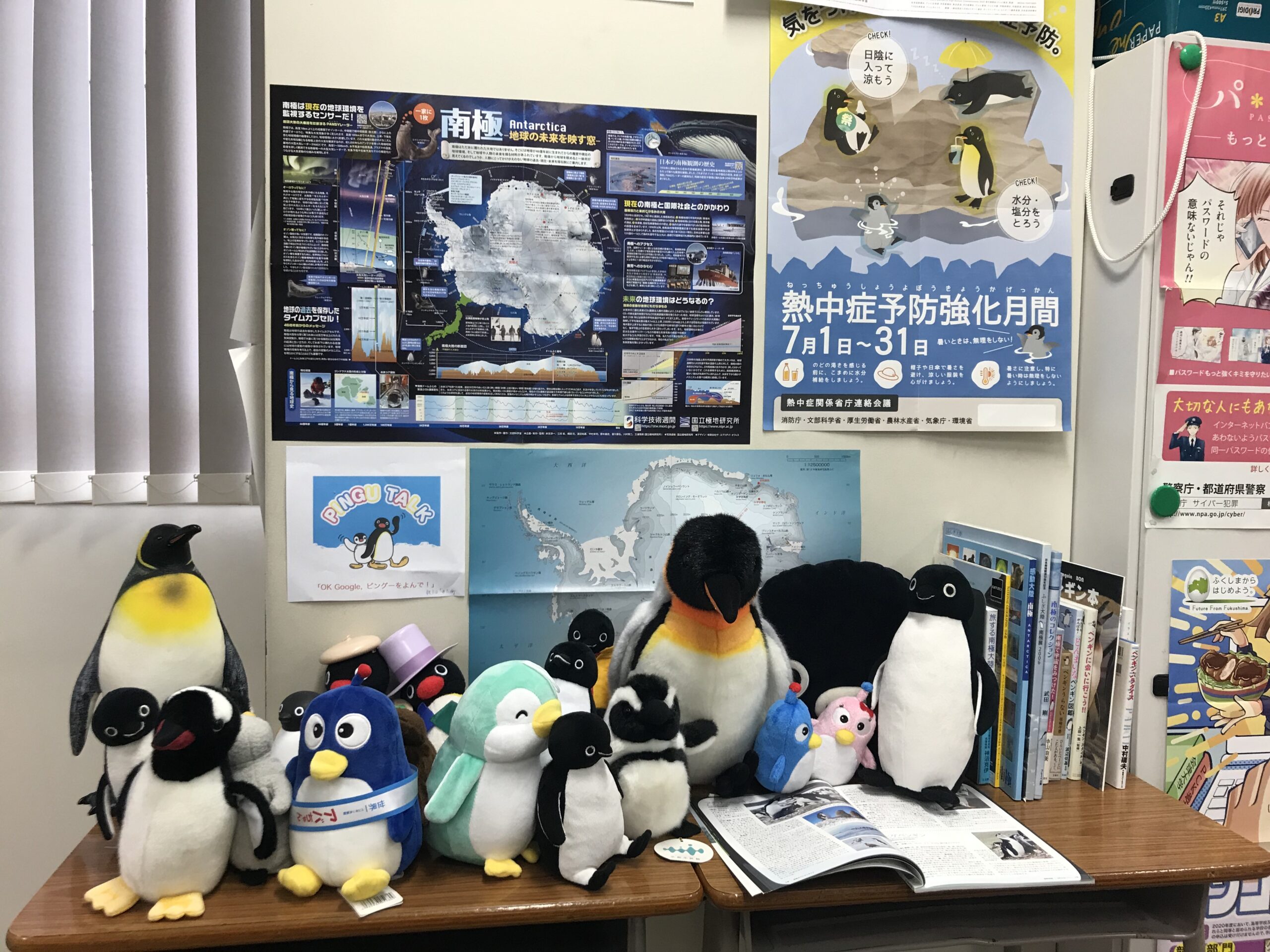 南極・ペンギンエリア。担当者の集めたペンギンに関する書籍・グッズが並んでいます（授業でも使います）。