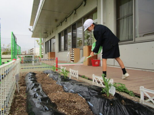 平和な日々と、様子を表す言葉をつかって