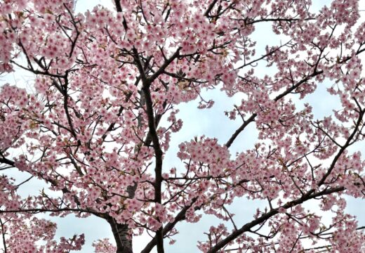 1年間のしめくくり
