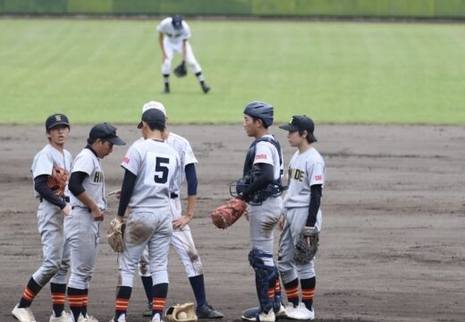 2024年度・中高部活動報告！1年間の活動をまとめました〜運動部編〜