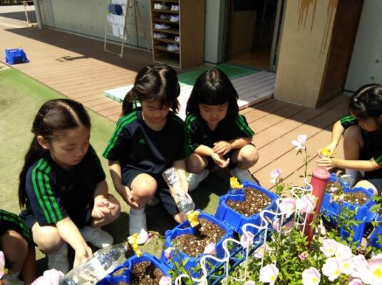 あさがおの たねを まいたよ　～１年生・生活～