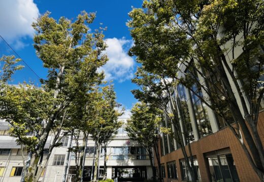 自分で考えて動く力は休み時間にも養われる