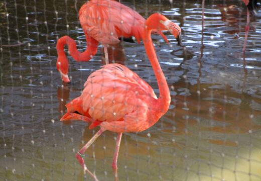 動物園に行こう！（１年生校外学習）