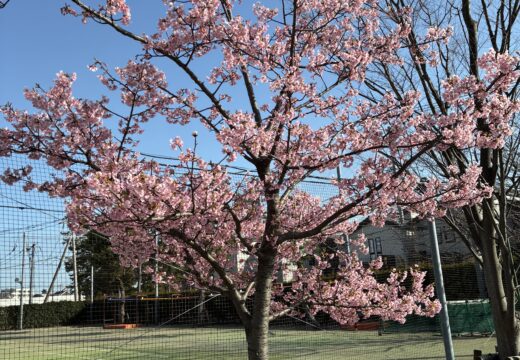 第74回高等学校卒業証書授与式