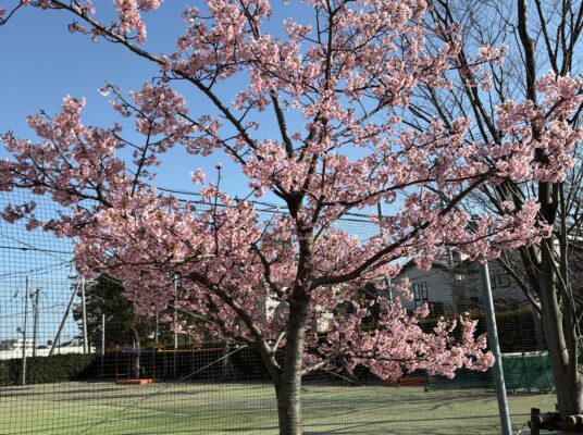 第74回高等学校卒業証書授与式