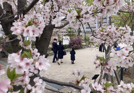 初めまして、1年生!