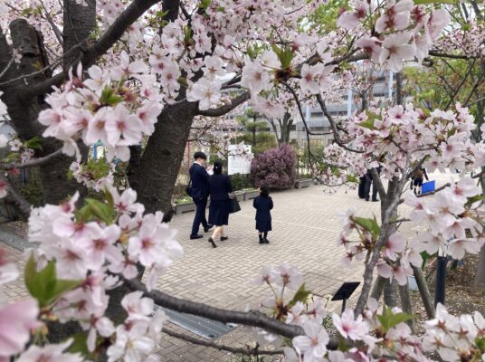 初めまして、1年生！