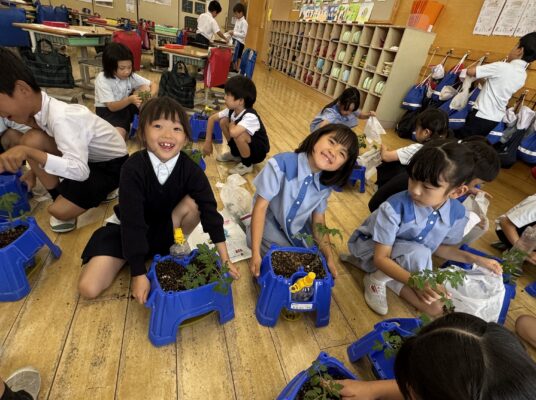 ミニトマト成長記録(２年生 生活)