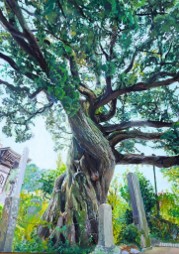 2025年度 東京藝術大学絵画科日本画専攻合格 M.Fujisiroさんの高校2年次の作品