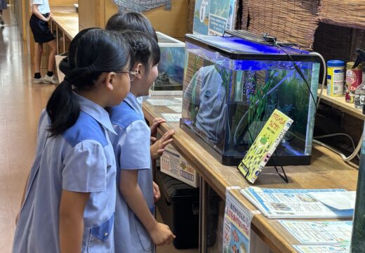 ２学期の日常が始まりました！